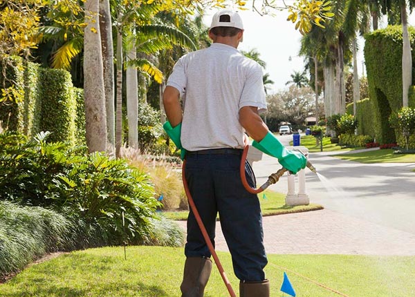 Pest Control Technician